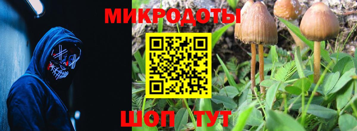 Псилоцибиновые грибы MAGIC MUSHROOMS Моздок